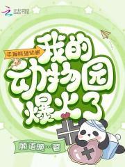 小熊猫动物视频