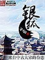 银狐毛和狐狸毛哪个贵