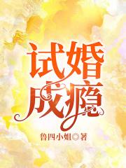 试婚成瘾夏暖全文