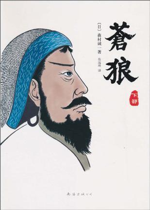 苍狼下一部是什么电视剧