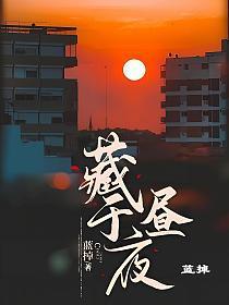 藏于昼夜秦棠张贺年结局