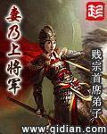 妻乃上将军完整版