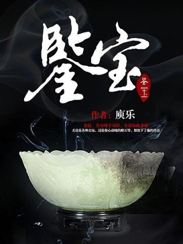 鉴宝电视剧排行榜前十名