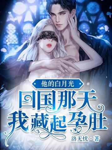 我藏起孕肚(秦夜沈云雾)