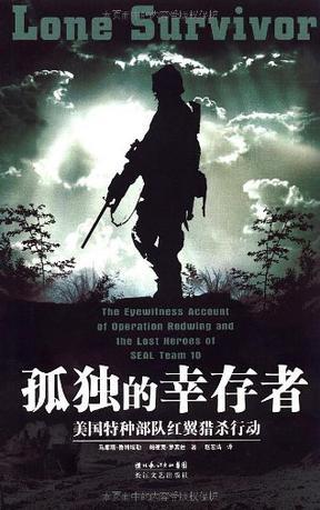 孤独的幸存者原型故事