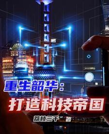 重生股市到科技帝国
