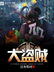 大盗贼电影在线观看