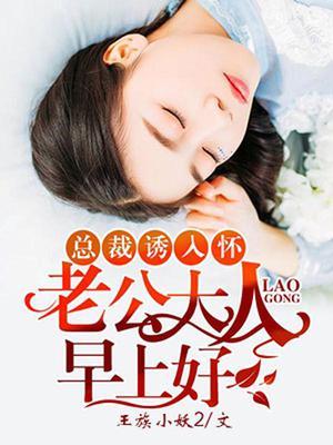 总裁诱入怀老公大人