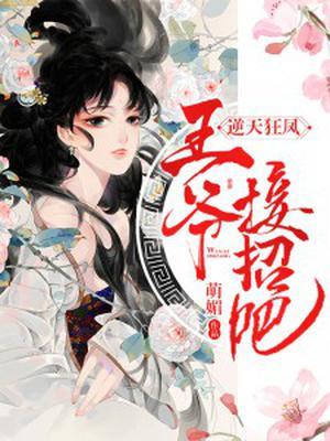 逆天狂妃王爷别翻我牌子全文免费阅读叶不言