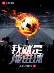 我就是能进球加料版然后某天