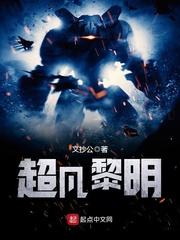 超凡黎明文抄公txt