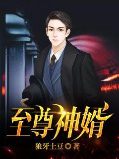 郑漫儿与叶辰至尊神婿