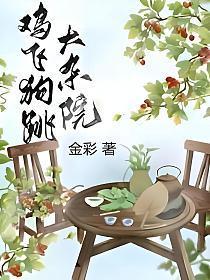 鸡飞狗跳大杂院 金彩