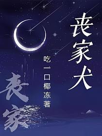 丧家犬形容什么样的人