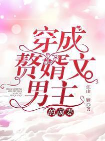 穿成赘婿文男主的前妻无广告