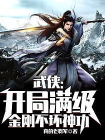 武侠开局满级金刚不坏神功书
