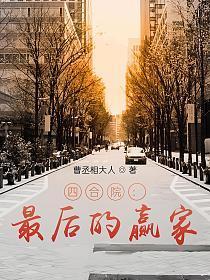 四合院最后的赢家 笔趣阁