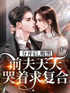腹黑前夫倒追前妻