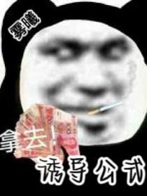 诱导公式记忆方法