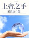 上帝之手出自哪位球员
