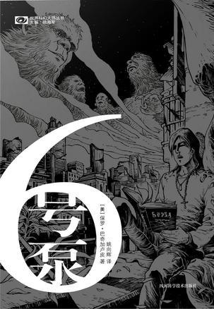 6号泵是什么泵