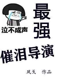 最强催泪导演txt