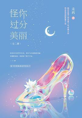 怪你过分美丽百科