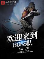 欢迎来到boss 队