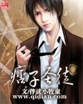 痞子和圣殿骑士