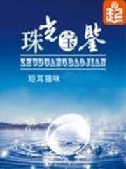 珠光宝鉴宁川