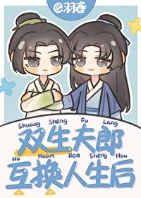 双生夫郎互换人生后by羽春
