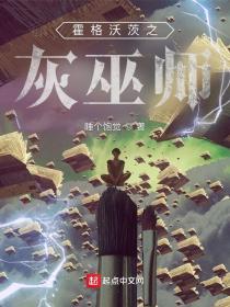 霍格沃茨之灰巫师全文