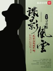谍影风云TXT百度