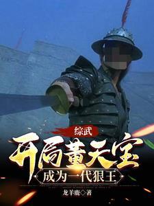 综武开局董天宝成为一代狠王免费