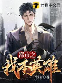 我本英雄电视剧36集免费观看