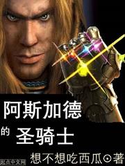 阿斯加德的圣骑士免费阅读