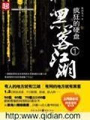 疯狂的硬盘TXT免费