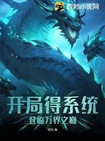 开局系统碎片