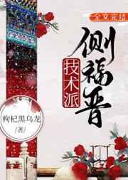 技术派侧福晋txt