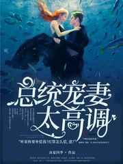 总统宠妻太高调免费阅读