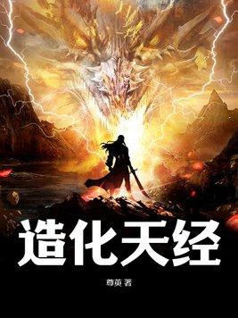造化天经境界化分