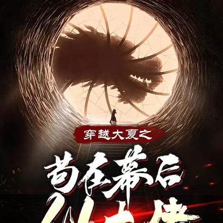 穿越成皇子慢慢发展自己的势力