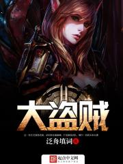 网游之大盗贼全文阅读