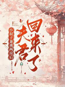 夫君回来了(念君录)