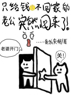 只给钱不回家的老公忽然回来了 书旗