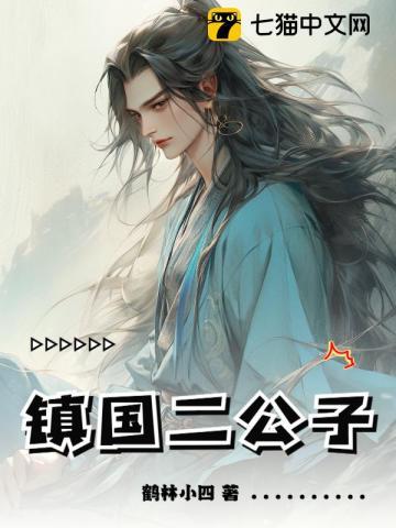 镇国公府二小姐