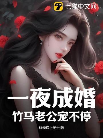 一夜婚宠老公大人坏透了全文免费阅读