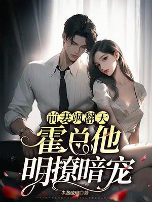 霍总的前妻