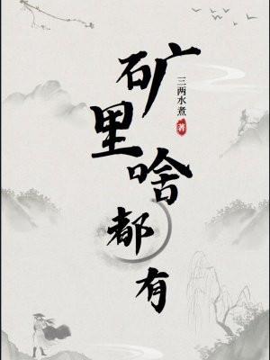 有矿的地方