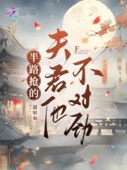 半路抢的夫君他不对劲魏昭